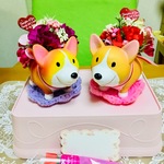 ラスト母の日コーギーちゃんハイハイカーネーション🐶🌹💐