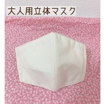 大人用立体マスク 送料無料