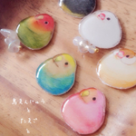 1羽販売！【新種追加】鳥まんじゅう   選べる ピアス