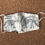 立体マスク　子供用　恐竜⑨🦕🦖