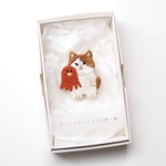 タコさんウィンナー持つ猫