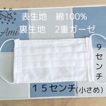 洗える小さめサイズマスク　ノーズワイヤー入り　丸ゴム　翌日発送可