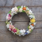 お散歩リース 