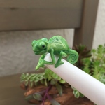 ゆび乗りカメレオン