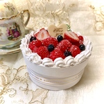 ストロベリーケーキボックス（送料込み）