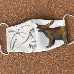 立体マスク　子供用　恐竜12🦕🦖