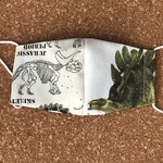 立体マスク　子供用　恐竜14🦕🦖