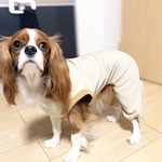 ノースリーブロンパース