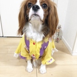 ボヘミアンワンピース