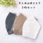 自粛生活応援SALE☆３枚セット　大人用立体マスク　メンズサイズ　大きめ
