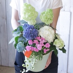 玉咲あじさいとハーモニーの寄せ植え