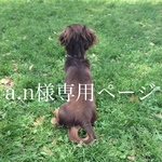a.n様専用ページ