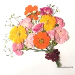  [押花素材91】カーネーション　キバナコスモス　ガーベラ