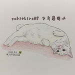 yukishiro08 さま専用♪