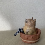 歓迎　カピバラ温泉