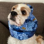 デニムレース柄❤︎中型犬用スヌード　犬用スヌード