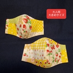 大きめ 立体マスク カバー
