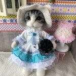 お話し聞きます猫ちゃん(枕付き)