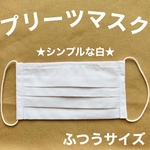 プリーツマスク※ふつうサイズ、小さめサイズ