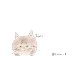 専用ページ