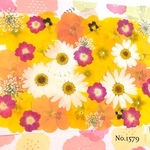♡new♡  ♡可愛い押し花セット♡ ♡使いやすい少量の押し花セット♡