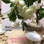 sakura1219専用ページ
