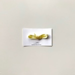 bow hair clip : レモン