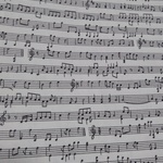 ピアノ五線譜柄♪音符柄☆コットン