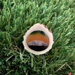 鹿角アクセサリーの夕暮れ旭岳ブローチ