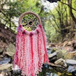 桜　Dreamcatcher