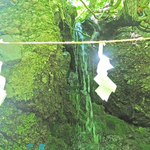 パワースポット 戸隠神社みた 精霊  の光