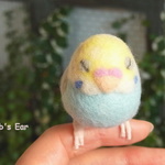 ふくふく　おねむな手乗りインコ（セキセイ・ブルー×イエロー））
