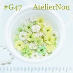 #G47かすみ草_メロンミックス