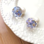 勿忘草とパールキャッチの水中花ピアス