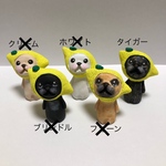 レモン☆フレブルちゃん。
