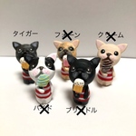 アイス美味しい♬フレブルちゃん。