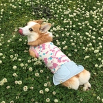 スプラッシュワンピース