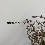 N様専用ページ
