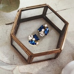 送料無料✴︎アレルギー対応✴︎再販♡jewelry bijou sapphire♡ピアス・イヤリング