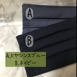 【送料込】選べるカラー★大人用プリーツマスク＊ハーフリネンとダブルガーゼを使用＊