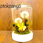･:*+.\新作/.:+  母の日　ギフト 新学期　入園　就職　プレゼントに♪ 期間限定！！　数量限定 散らない！ タンポポ　綿毛  ドライフラワー  2本　①