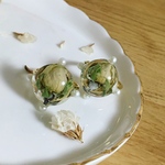 ｼﾛｲﾊﾞﾗ ＊ ﾘﾝｸﾞ