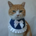 デニムサテンリボンドレス