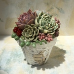 多肉植物　2号鉢植え　フェイクグリーン　E