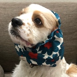 花柄　夏生地❤︎グリーン　中型犬用スヌード　犬用スヌード