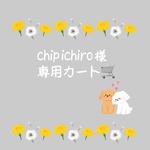 専用カート