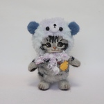 クマさん(サバトラ)