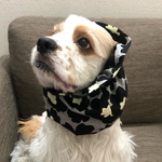夏生地　花柄❤︎ブラック　中型犬用スヌード　犬用スヌード