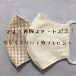 立体マスク　大人大きめ　2枚セット