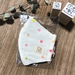 送料無料★ポケット付き立体マスクL(大人用）